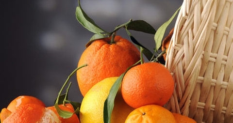 吃柑橘堅果6食物可以活化大腦防老年痴獃