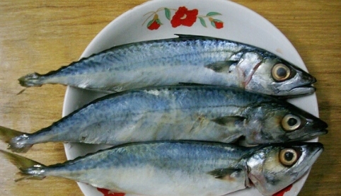 青占魚的營養價值