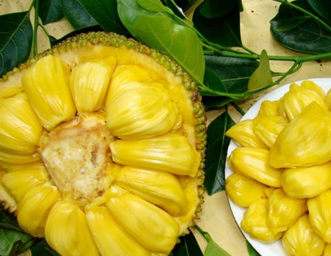 菠蘿蜜的營養價值及功效