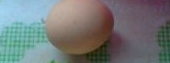 黃燜雞蛋