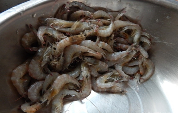 白勺蝦