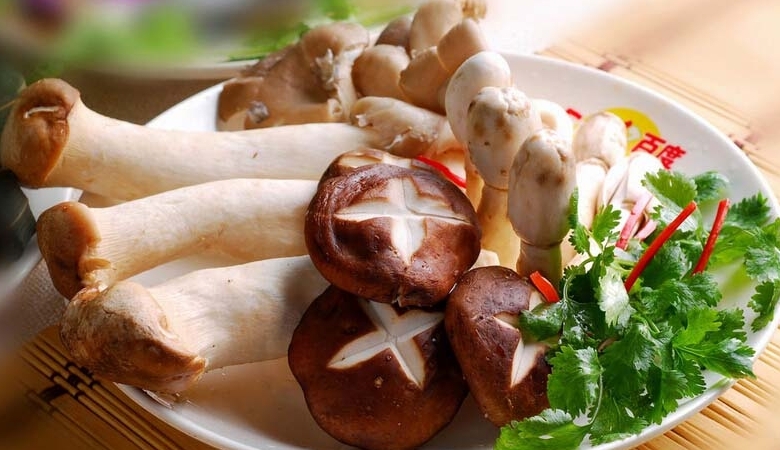 雞腿菇種植方法,雞腿菇怎麼做好吃