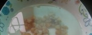 乾貝排骨蝦粥