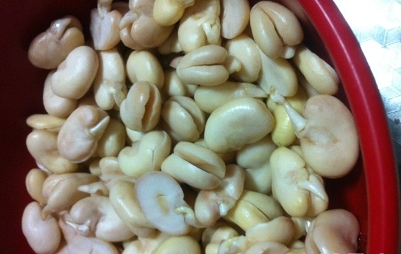 腐乳燒蠶豆