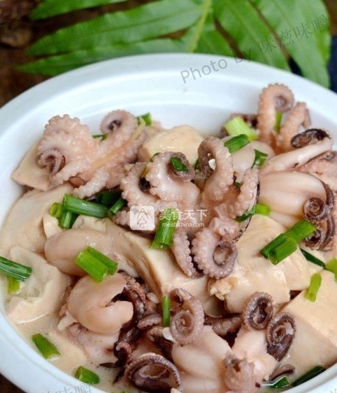 八爪魚燜豆腐