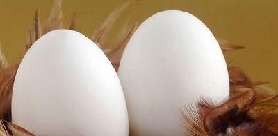 膽結石能吃雞蛋嗎
