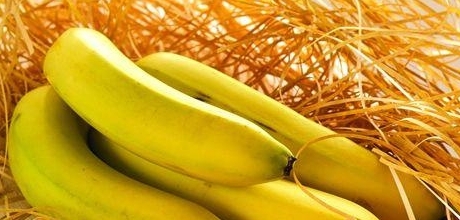 胃不好能吃香蕉嗎