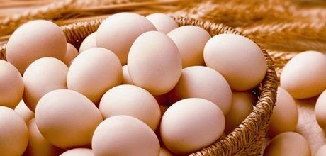 腎炎能吃雞蛋嗎