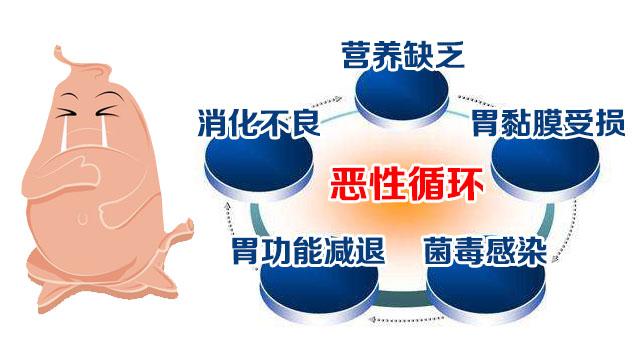 治療胃潰瘍食療秘方：生土豆汁可以輔助治療胃潰瘍