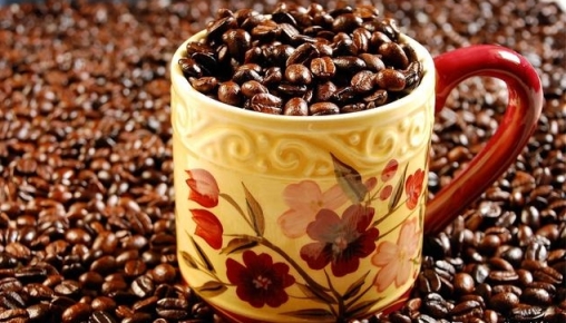 咖啡豆的新鮮期有多久？