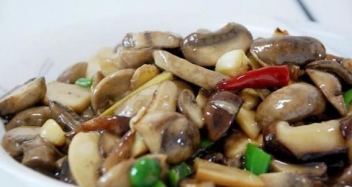 兩種菌類料理的做法，蚝油蘑菇和啤酒鴨燉雞腿菇的做法