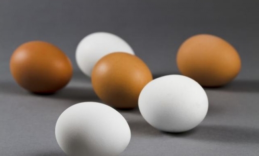 雞蛋能多吃嗎