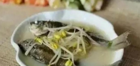 鯽魚豆芽湯的做法