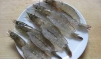 蒜蓉蒸蝦，蒜蓉蒸蝦的做法，蝦的做法