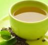 每朝健康綠茶24入