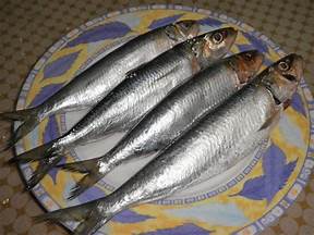 沙丁魚罐頭營養價值