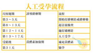 人工受孕前要吃什麼