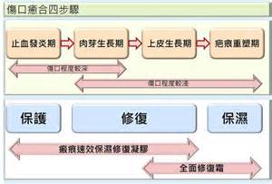 傷口不易癒合要吃什麼