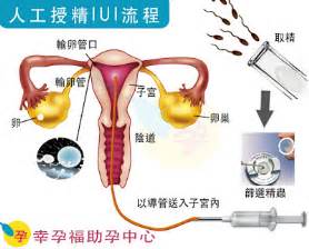 不容易受孕要吃什麼