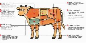 美國牛肉分解圖