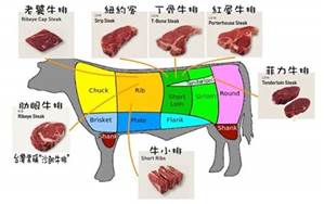 牛肉部位名稱圖解